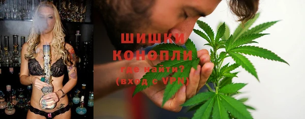 эйфоретик Арсеньев