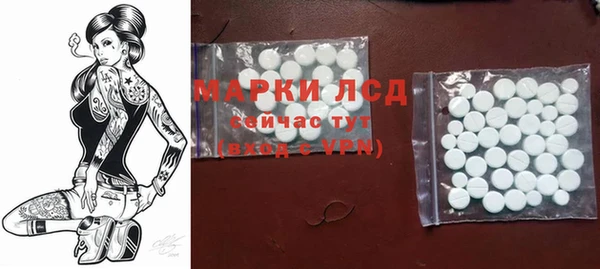 гидра Аркадак