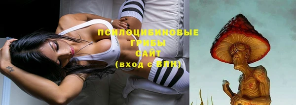 эйфоретик Арсеньев