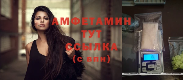 гидра Аркадак