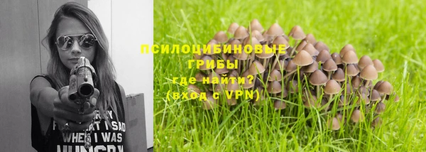 эйфоретик Арсеньев