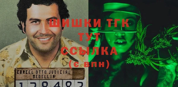эйфоретик Арсеньев