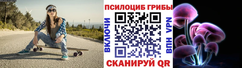 Галлюциногенные грибы Psilocybe  Шуя 